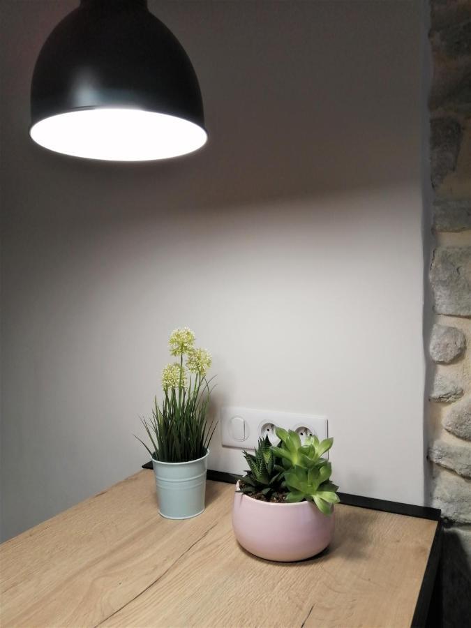 Le Petit Studio - 15 m2 - Centre Ville - Sorgue à 50 m LʼIsle-sur-la-Sorgue Esterno foto