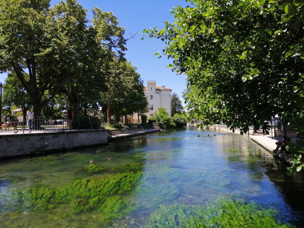 Le Petit Studio - 15 m2 - Centre Ville - Sorgue à 50 m LʼIsle-sur-la-Sorgue Esterno foto